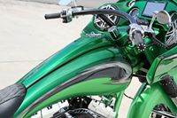 BlackandGreen8 Custom Bagger