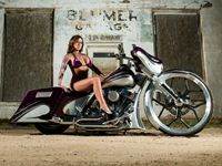 Purple Custom Bagger