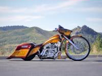 Wentons30 Custom Bagger