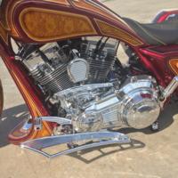 Wentons30-11 Custom Bagger