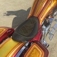 Wentons30-13 Custom Bagger