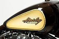 NYNightTrain10 Custom Harley Motorcycle