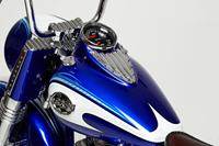 ss50th8 Custom Motorcycle