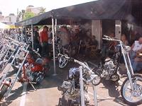 Laughlin200414