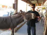 Laughlin200701