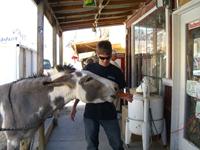 Laughlin200702