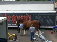 Sturgis200683